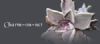 Charm-on-net